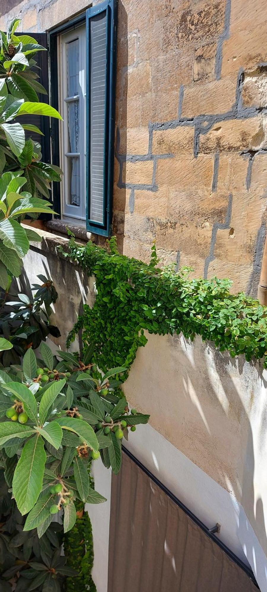 Massa House Bed & Breakfast Lecce Room photo